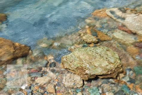 River Rocks Sand Pastel River Rock Print Wall Art Water Photo