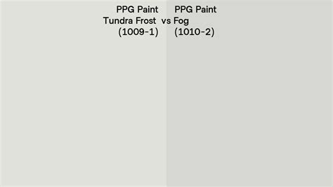 PPG Paint Tundra Frost Vs Fog Side By Side Comparison