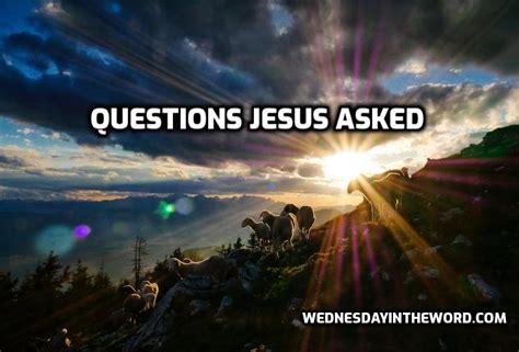 Questions Jesus Asked - Wednesday in the Word