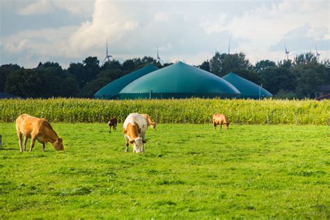 Nachhaltige Landwirtschaft Im Faktencheck Initiative Milch