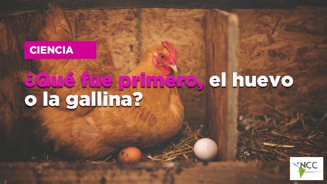 Qué fue primero el huevo o la gallina YouTube