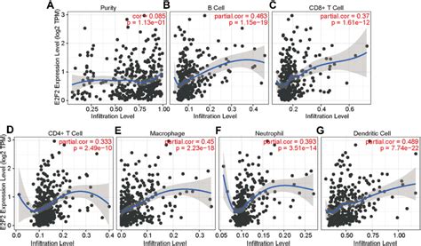 The Relationship Between E2f2 And Immune Infiltration A E2f2 Download Scientific Diagram