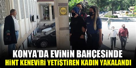 Konya Da Evinin Bah Esinde Hint Keneviri Yeti Tiren Kad N Yakaland