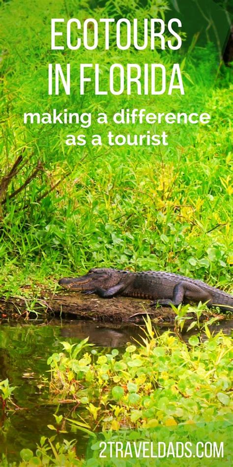 Ecotours In Florida Making A Difference By Playing Tourist Usa