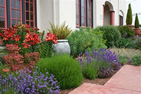 Mediterraner Garten Beispiele für Blumen und Pflanzen