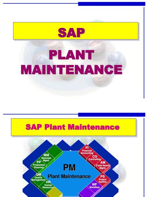 Sap Pm Overview Pdf Hierarchy Business