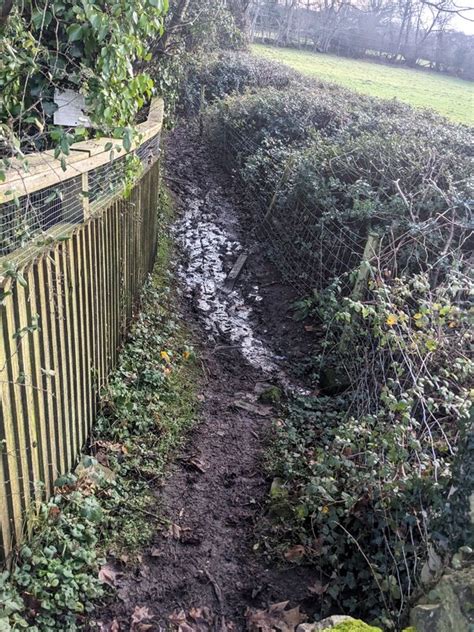 Waterlogged Track Llanfrechfa Torfaen Jaggery Cc By Sa