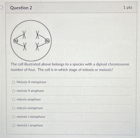 Solved The Cell Illustrated Above Belongs To A Species With Chegg