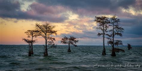 Lake Moultrie Guardians - Emmanuel Fine Art Photography