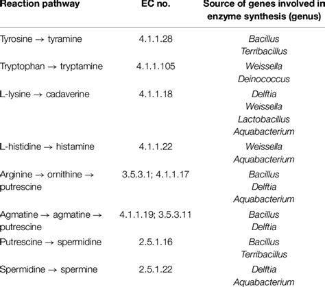 The Source Statistics Of Enzymes In Metabolic Pathways Of Biogenic