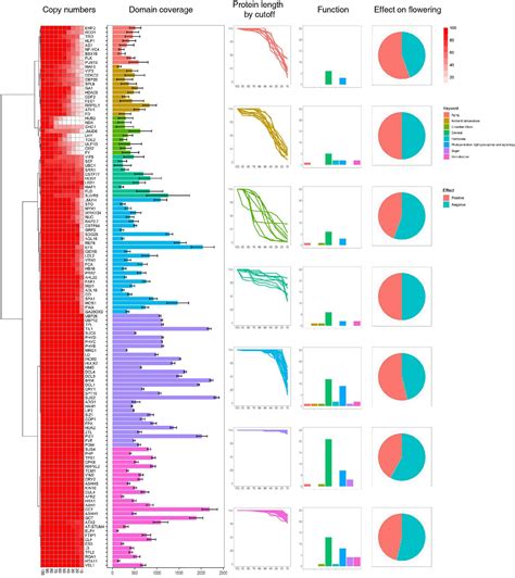 Frontiers Genome Wide Comparative Analysis Of Flowering Time Genes