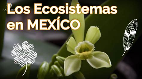 El Inusual Secreto Sobre Ecosistemas De Mexico Mapa Con Nombres Al