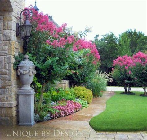 17 Best Crepe Myrtle Trees Images On Pinterest Outdoor Living