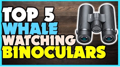 Top 5 Binoculars Best Binoculars For Whale Watching Youtube