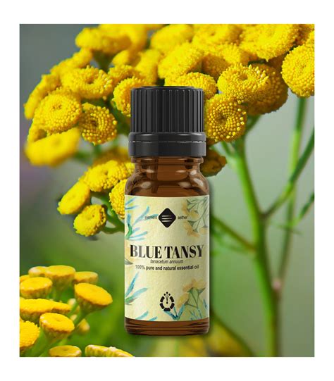 Ulei Esen Ial De Blue Tansy Ellemental