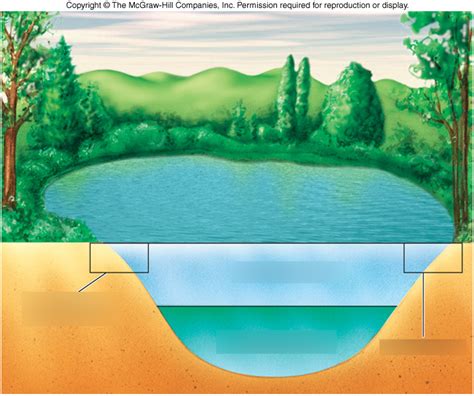 lake zones Diagram | Quizlet