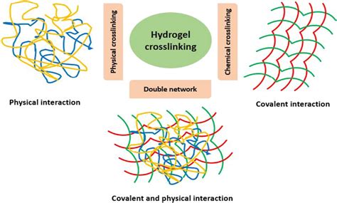 Schematic Illustration Of Physical Chemical And Double Network