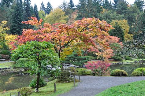 Washington Park Arboretum Seattle Tripomatic