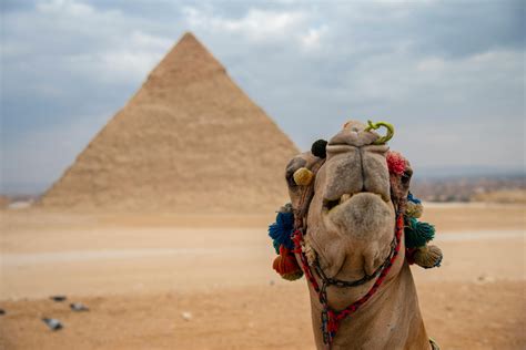 Aerial View Great Pyramid Of Giza Photos, Download The BEST Free Aerial ...