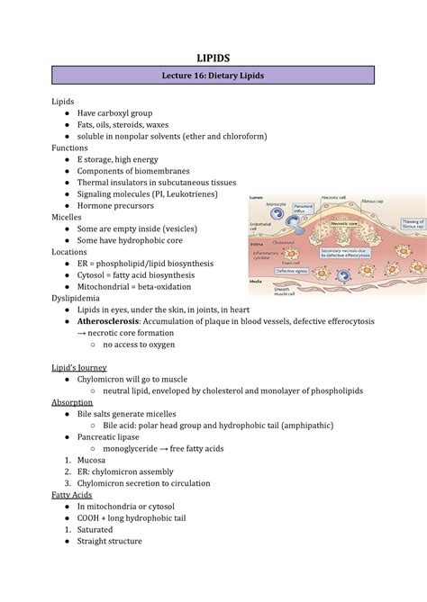 Bioc 311 L19 23 Lipids Module Lipids Lecture 16 Dietary Lipids