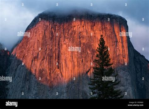 El Capitan Granite Monolith With Cliffs Up To M At Sunset