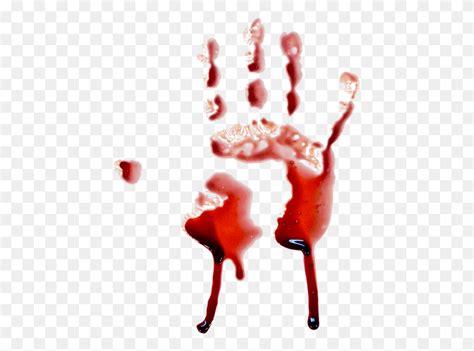 Blood Hand Photo Blood Hand, Stain, Food, Beverage HD PNG Download ...