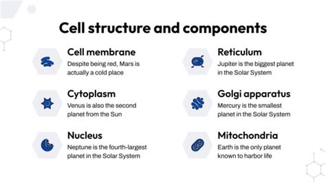 Eukaryotic Cell Presentation