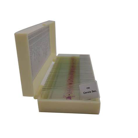 50pcs Set Mixed Histology Slides Set Histology Prepared Microscope