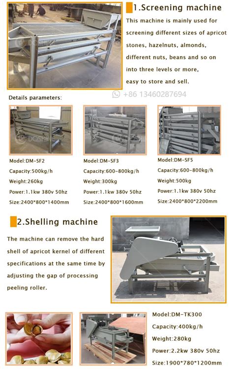 Palm Kernel Nut Hazelnut Cracking Machine Apricot Kernel Shell