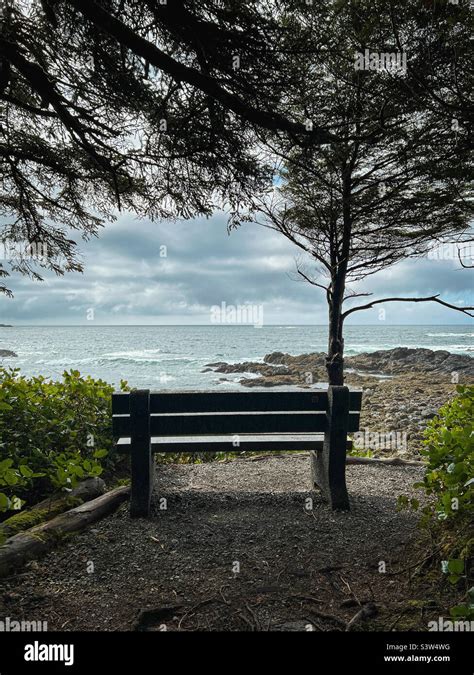 Park bench with a view Stock Photo - Alamy