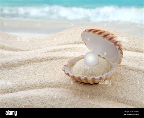 Shell With A Pearl On The Beach Stock Photo Alamy