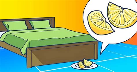 Pourquoi Mettre Une Tranche De Citron Sous Le Lit