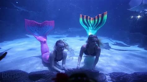 How To Be A Mermaid At Ripleys Aquarium Tips And Tricks For Living