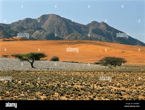 Arid landscape in the Iona National Park, Angola Stock Photo - Alamy