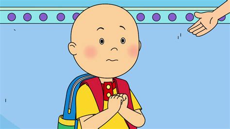 Discuss Everything About Caillou Wiki Fandom