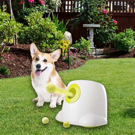 * Automatic Dog Ball Launcher | Buy Online - Free Delivery