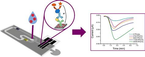 Electrochemical Capillary Driven Immunoassay For Detection Of SARS CoV