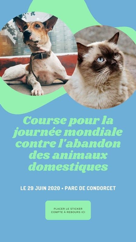 compte à rebours modèles gratuits à personnaliser Canva