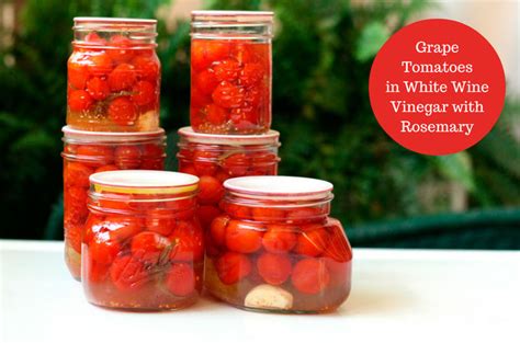 Grape Tomatoes In White Wine Vinegar With Rosemary Recipe Grape