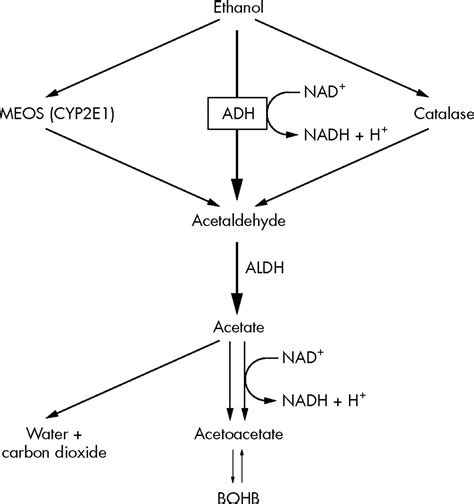 Acidosis And Alcohol