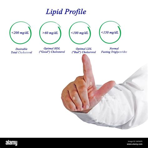 lipid profile  res stock photography  images alamy