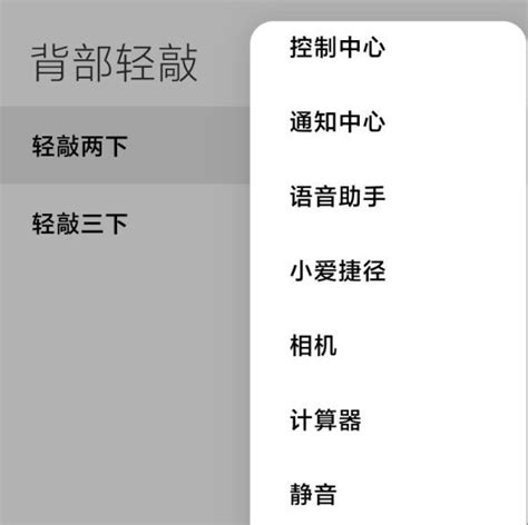 小米10s背部轻敲位置（小米10敲击背部） 闫学坤博客