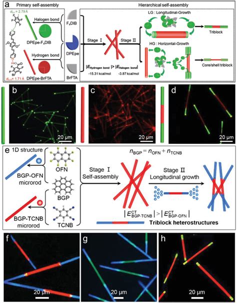 Hierarchical Self‐assembly Strategy To Synthesize Triblock Download Scientific Diagram