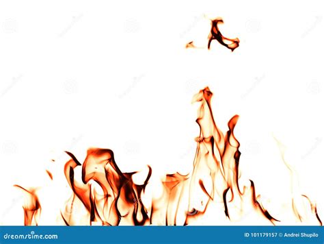 Fire Flames on a White Background Stock Image - Image of copy, blaze ...