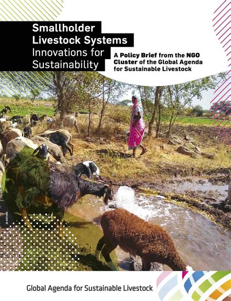 Smallholder Livestock Systems Innovations For Sustainability Vsf