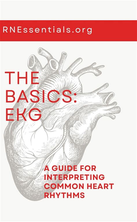 The Basics Ekg A Guide For Interpreting Common Heart Rhythms Rocha