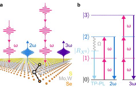 Harmonic Generation In Janus Tmd Monolayers A Schematic