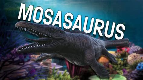 Ark Mosasaurus Z Hmen F Ttern Und Z Chten So Geht S