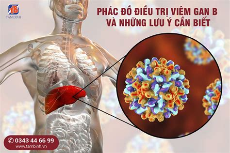 Phác đồ điều trị viêm gan B và những lưu ý cần biết