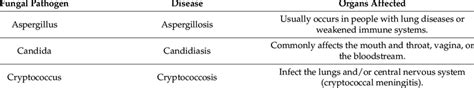 Common Human Pathogenic Fungi. | Download Scientific Diagram